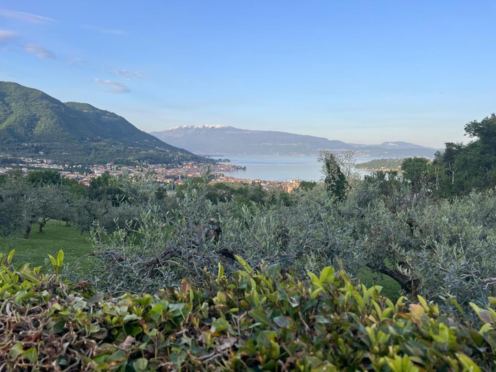 La Finestra Sul Garda Dreaming Holidays San Felice del Benaco Extérieur photo