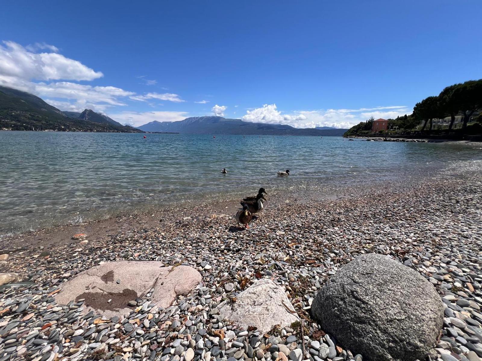 La Finestra Sul Garda Dreaming Holidays San Felice del Benaco Extérieur photo
